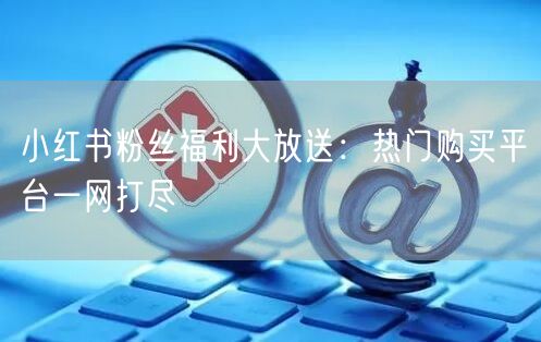 小红书粉丝福利大放送：热门购买平台一网打