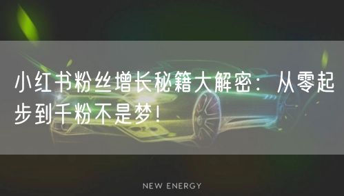 小红书粉丝增长秘籍大解密：从零起步到千粉不是梦！
