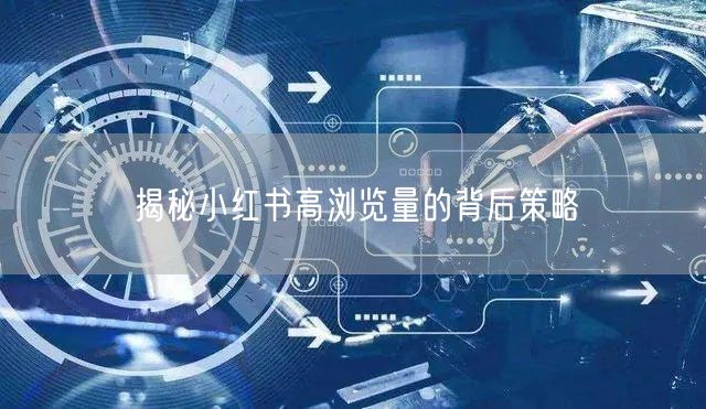揭秘小红书高浏览量的背后策略