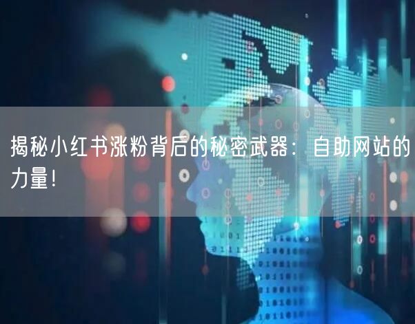 揭秘小红书涨粉背后的秘密武器：自助网站的力量！