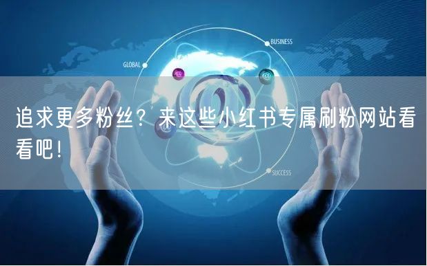 追求更多粉丝？来这些小红书专属刷粉网站看看吧！