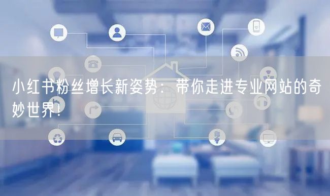 小红书粉丝增长新姿势：带你走进专业网站的奇妙世界！
