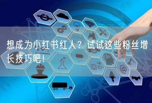 想成为小红书红人？试试这些粉丝增长技巧吧！