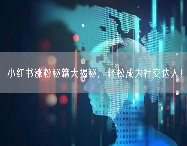 小红书涨粉秘籍大揭秘，轻松成为社交达人！
