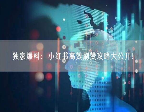 独家爆料：小红书高效刷赞攻略大公开！