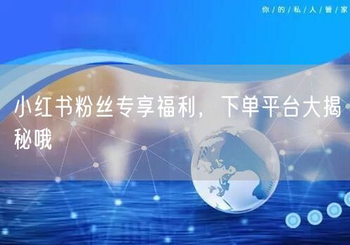 小红书粉丝专享福利，下单平台大揭秘哦