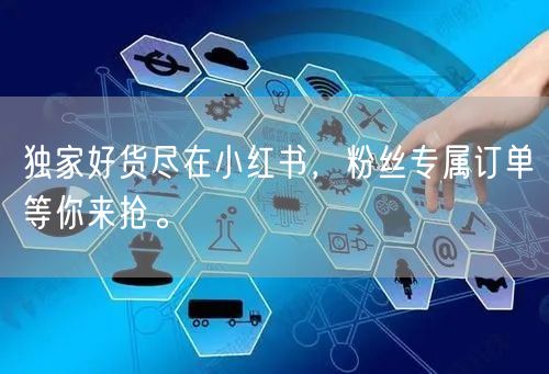 独家好货尽在小红书，粉丝专属订单等你来抢。