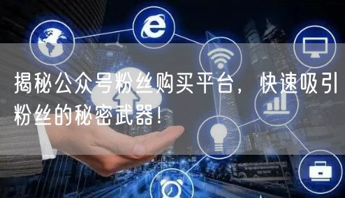 揭秘公众号粉丝购买平台，快速吸引粉丝的秘密武器！