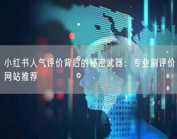 小红书人气评价背后的秘密武器：专业刷评价网站推荐