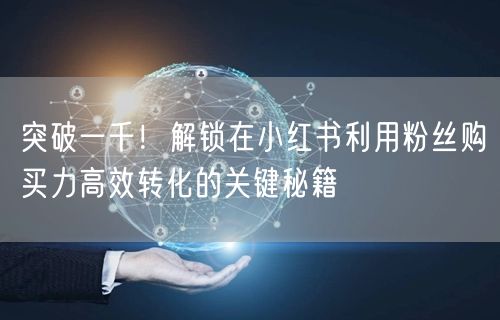 突破一千！解锁在小红书利用粉丝购买力高效转化的关键秘籍