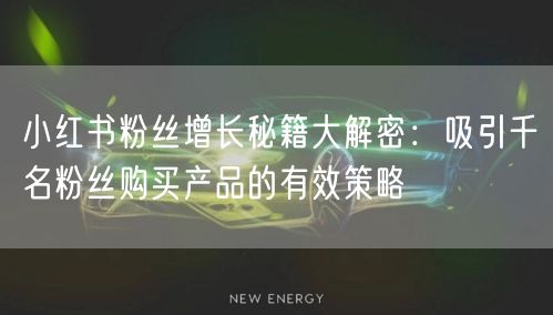 小红书粉丝增长秘籍大解密：吸引千名粉丝购买产品的有效策略