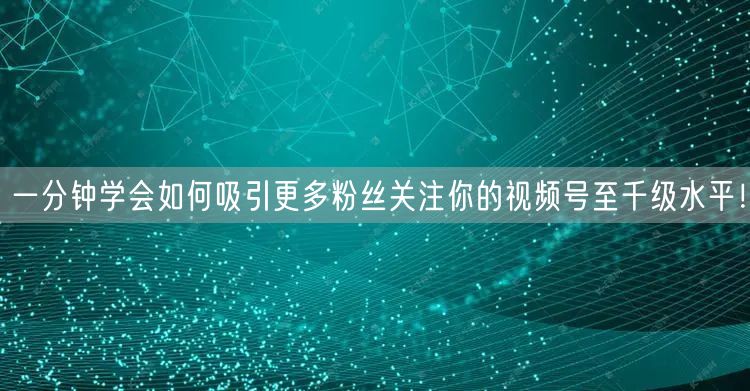 一分钟学会如何吸引更多粉丝关注你的视频号至千级水平！