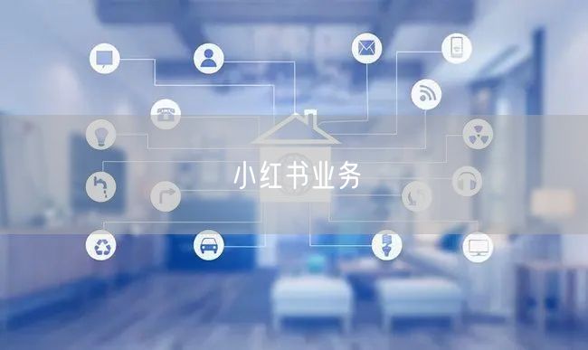 小红书业务