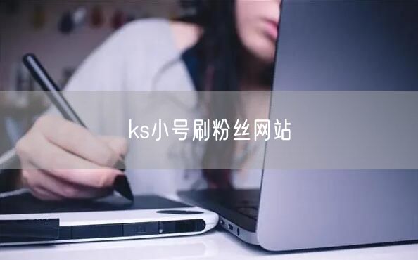 ks小号刷粉丝网站