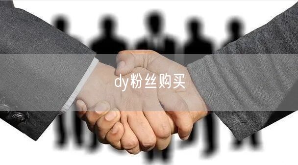 dy粉丝购买