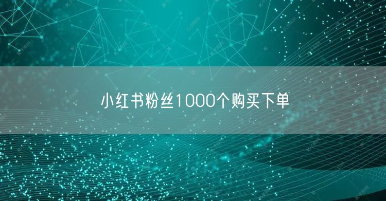 小红书粉丝1000个购买下单