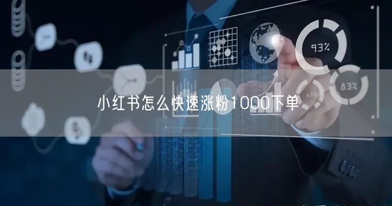 小红书怎么快速涨粉1000下单