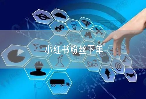 小红书粉丝下单