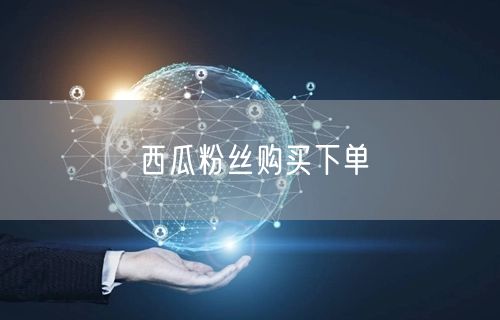 西瓜粉丝购买下单