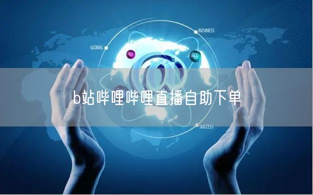 b站哔哩哔哩直播自助下单