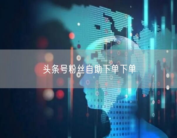 头条号粉丝自助下单下单