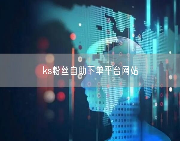 ks粉丝自助下单平台网站