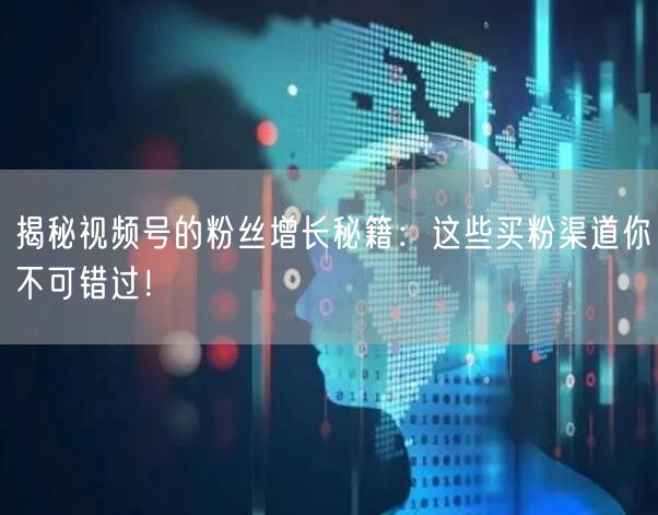 揭秘视频号的粉丝增长秘籍：这些买粉渠道你不可错过！