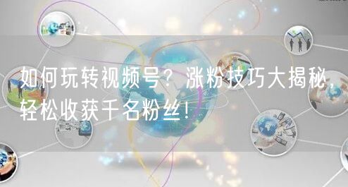如何玩转视频号？涨粉技巧大揭秘，轻松收获千名粉丝！