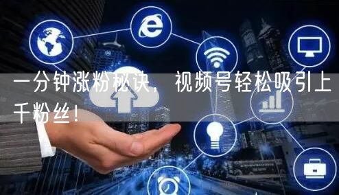 一分钟涨粉秘诀，视频号轻松吸引上千粉丝！