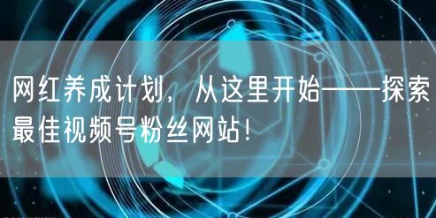 网红养成计划，从这里开始——探索最佳视频号粉丝网站！
