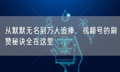 从默默无名到万人追捧，视频号的刷赞秘诀全在这里