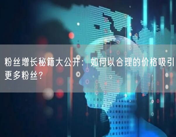 粉丝增长秘籍大公开：如何以合理的价格吸引更多粉丝？