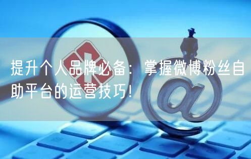 提升个人品牌必备：掌握微博粉丝自助平台的