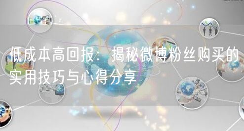 低成本高回报：揭秘微博粉丝购买的实用技巧