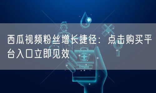 西瓜视频粉丝增长捷径：点击购买平台入口立即见效