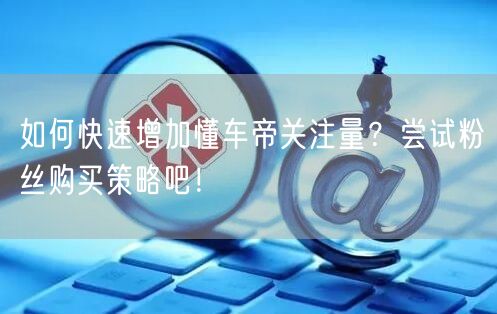 如何快速增加懂车帝关注量？尝试粉丝购买策略吧！