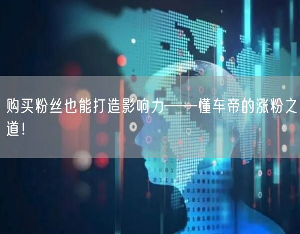 购买粉丝也能打造影响力——懂车帝的涨粉之道！