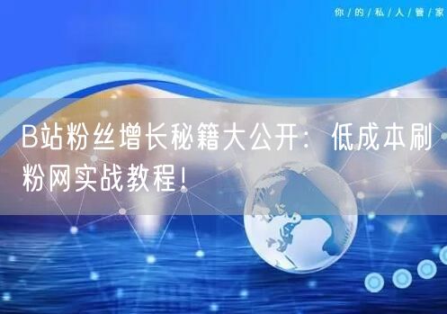 B站粉丝增长秘籍大公开：低成本刷粉网实战教程！