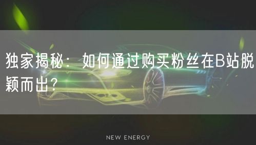 独家揭秘：如何通过购买粉丝在B站脱颖而出？