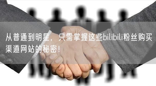从普通到明星，只需掌握这些bilibili粉丝购买渠道网站的秘密！