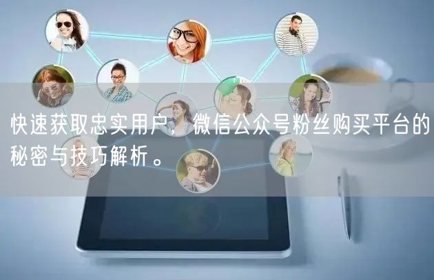 快速获取忠实用户，微信公众号粉丝购买平台