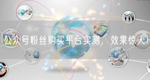 公众号粉丝购买平台实测，效果惊人！